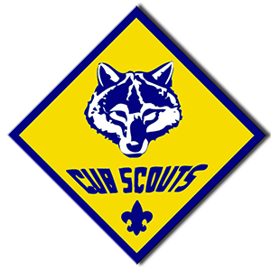 Cub Scouts